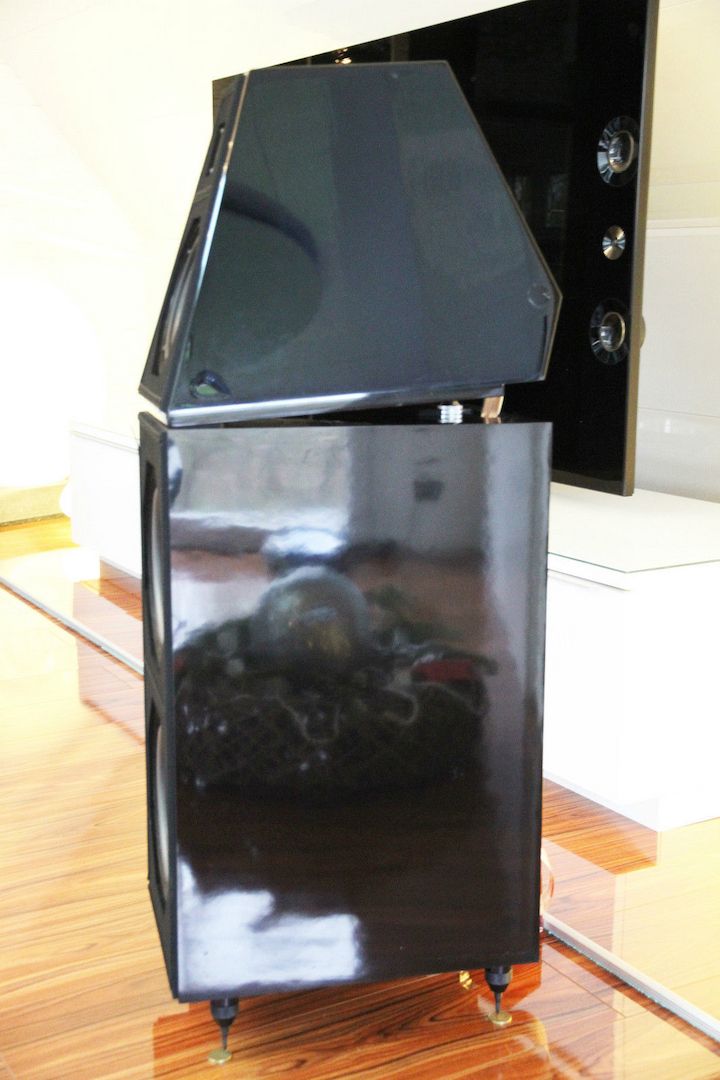 REFERENZ Wilson Audio WATT  PUPPY 3.2 WHOW III u. Apogee DAX in Parallelauktion