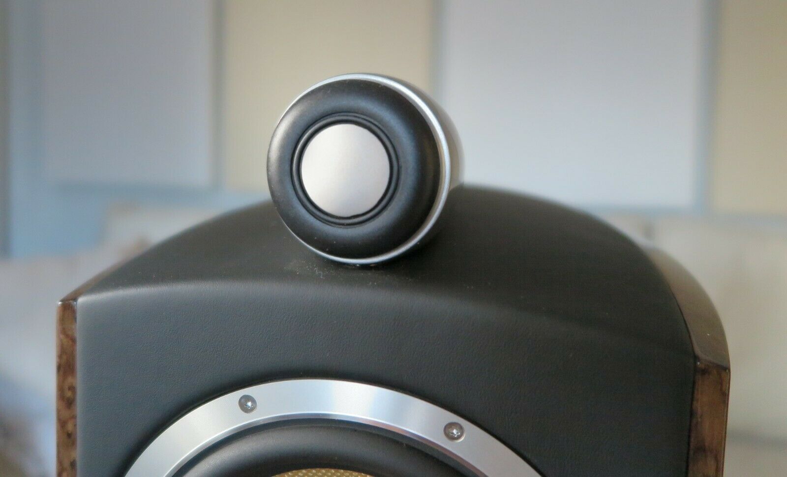 Bowers & Wilkins (B&W) 805D2 Maserati Edition