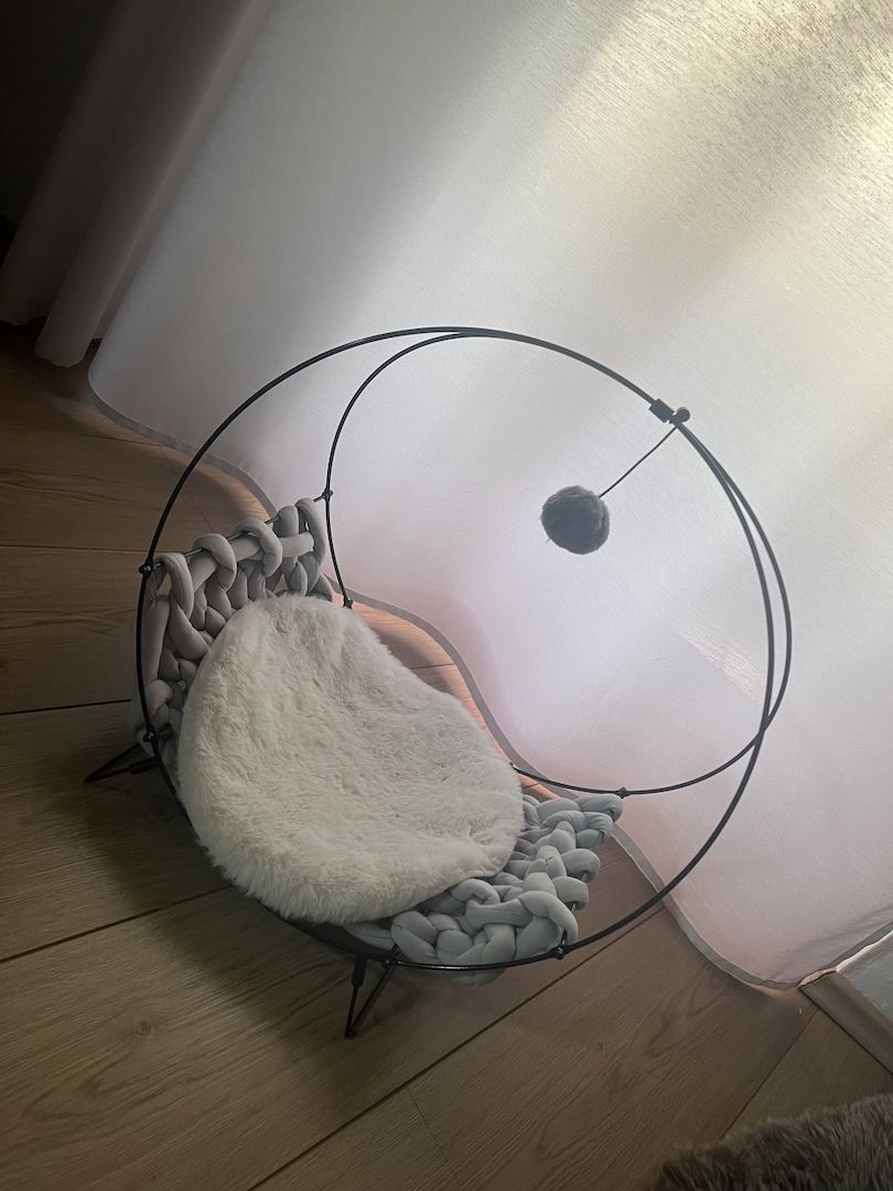 Siam Kitten mit Zubehör