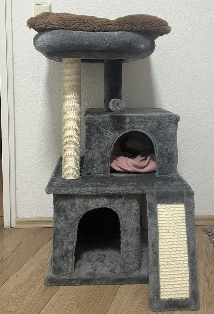 Siam Kitten mit Zubehör