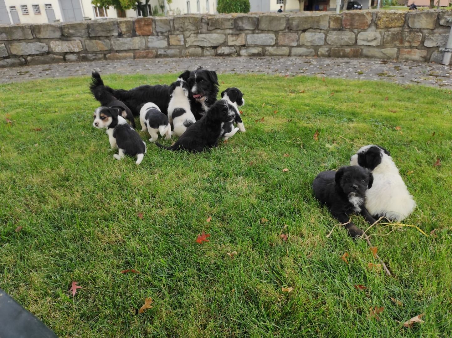 Wir suchen ein neues Zuhause