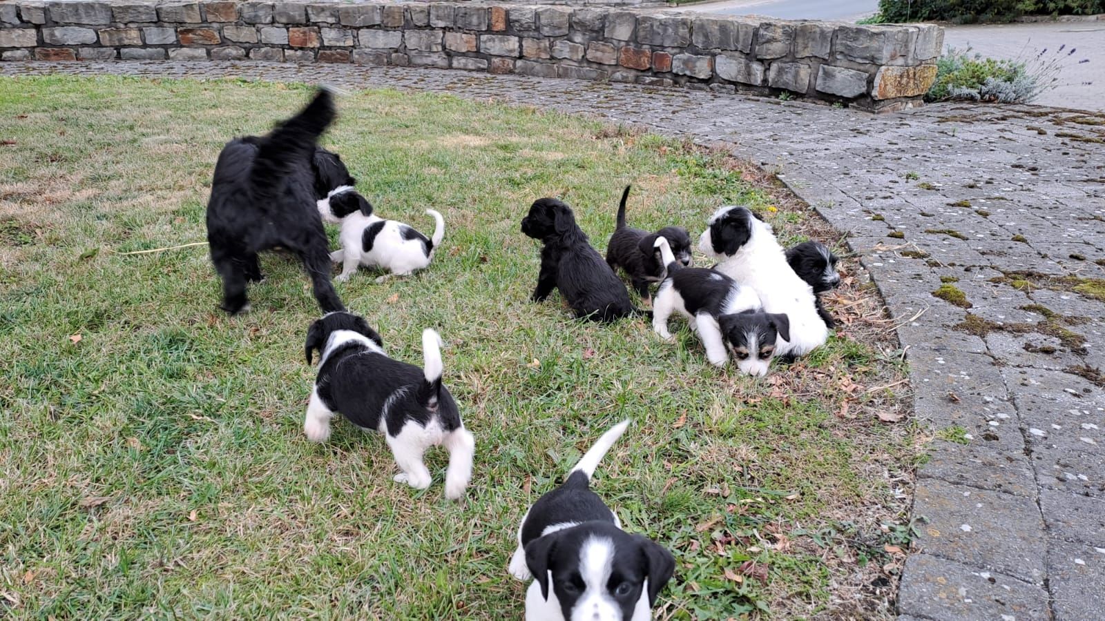 Wir suchen ein neues Zuhause