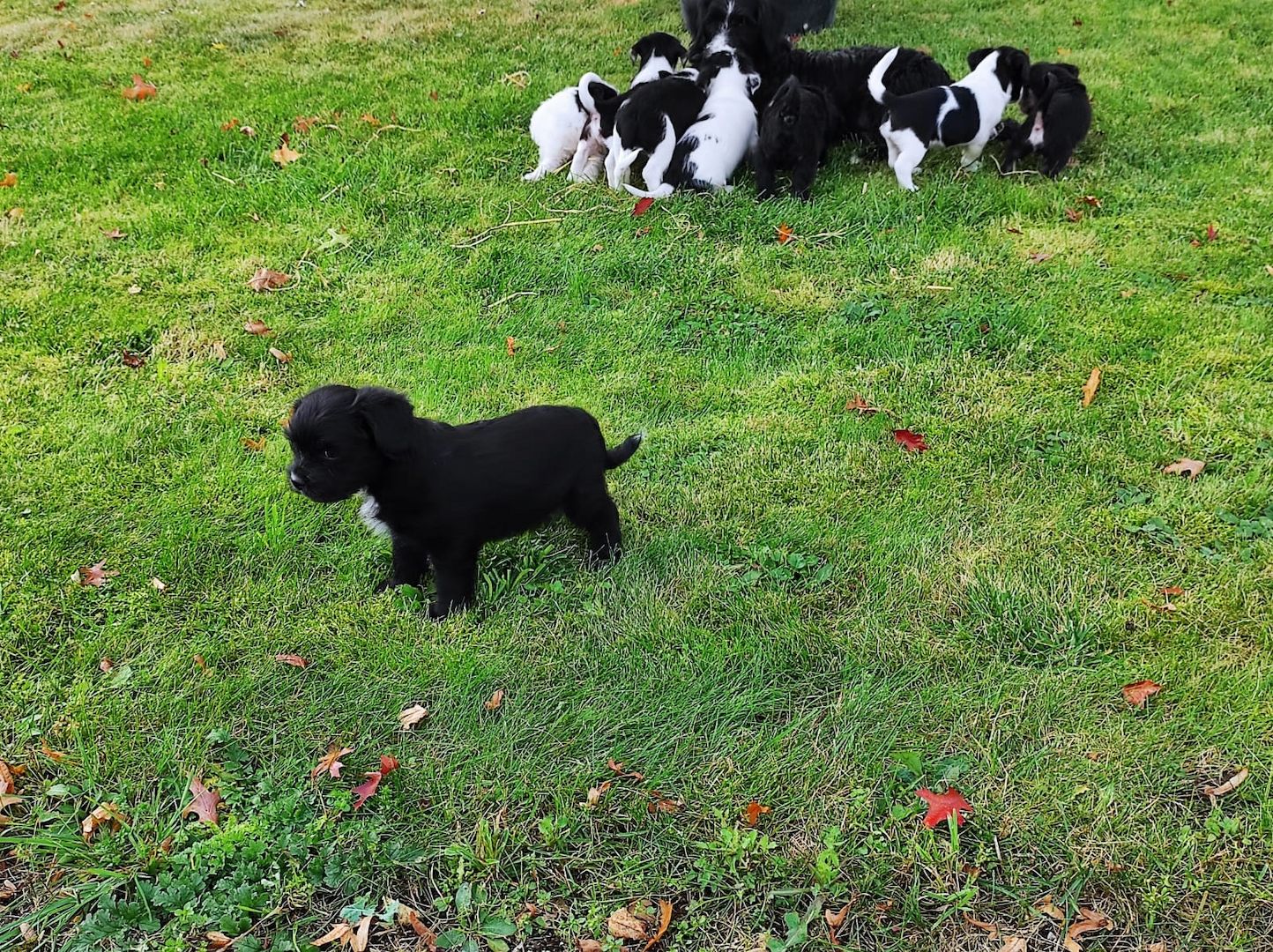 Wir suchen ein neues Zuhause