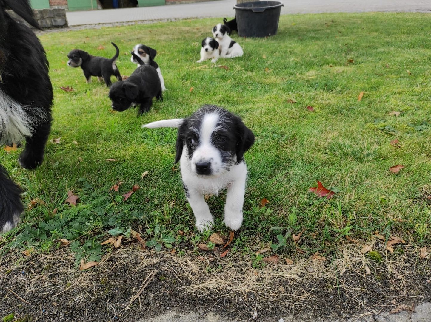 Wir suchen ein neues Zuhause