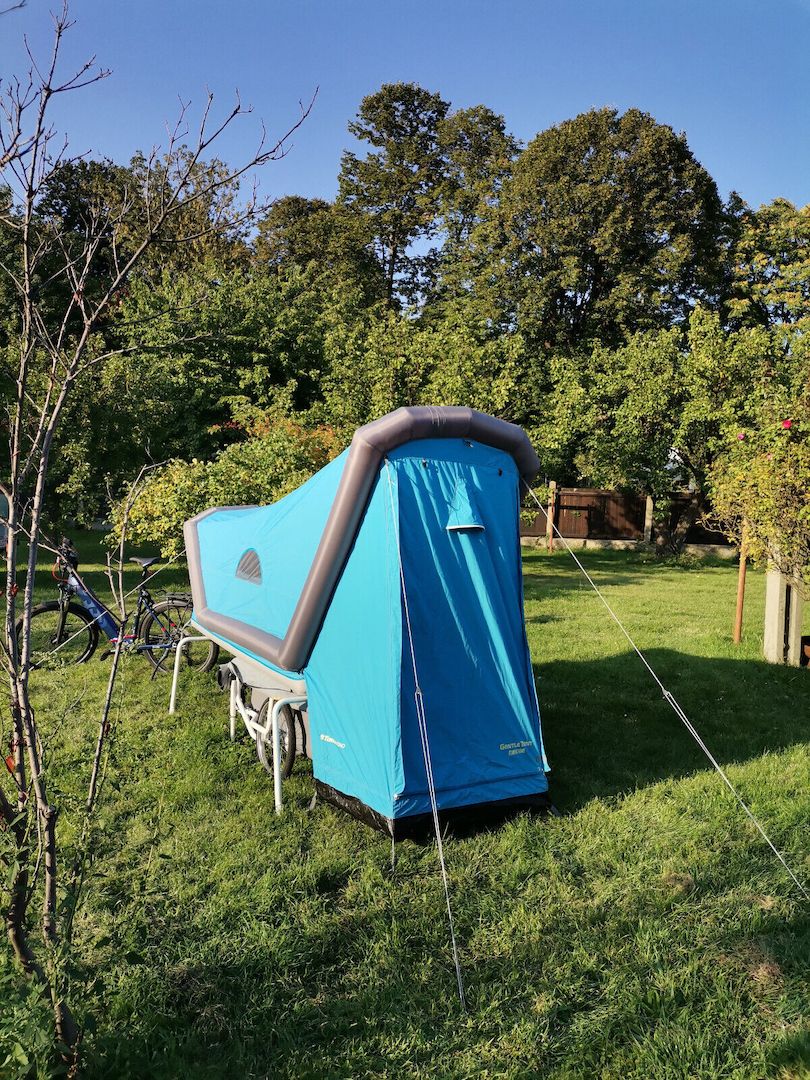 B-Turtle Mono, NEU in BLAU, Modell 20/21