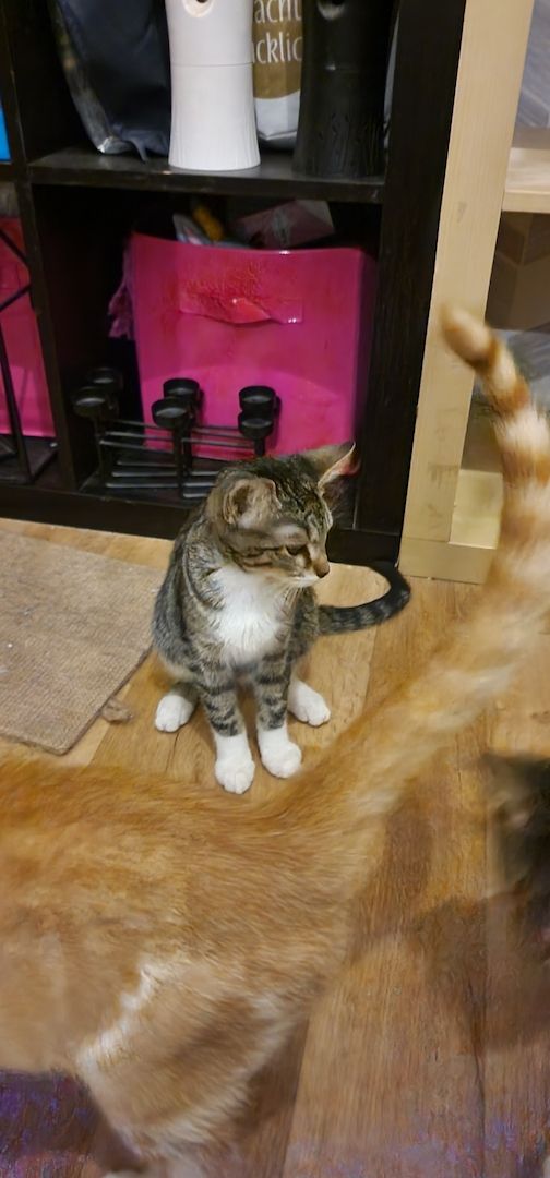 Wir sind auszugs bereit