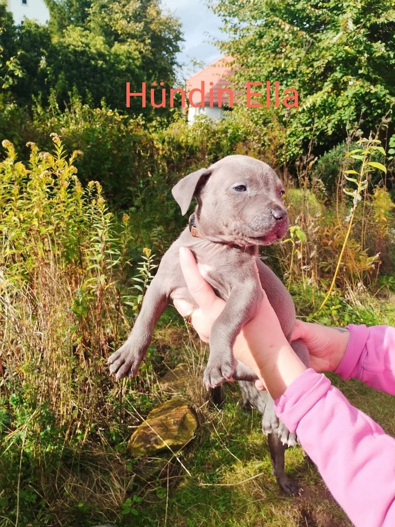 Wir suchen ein schönes Zuhause Wir suchen ein schönes Zuhause