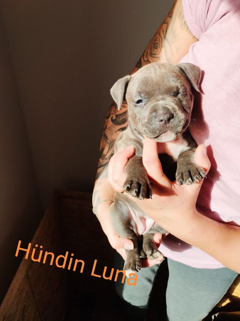 Wir suchen ein schönes Zuhause Wir suchen ein schönes Zuhause