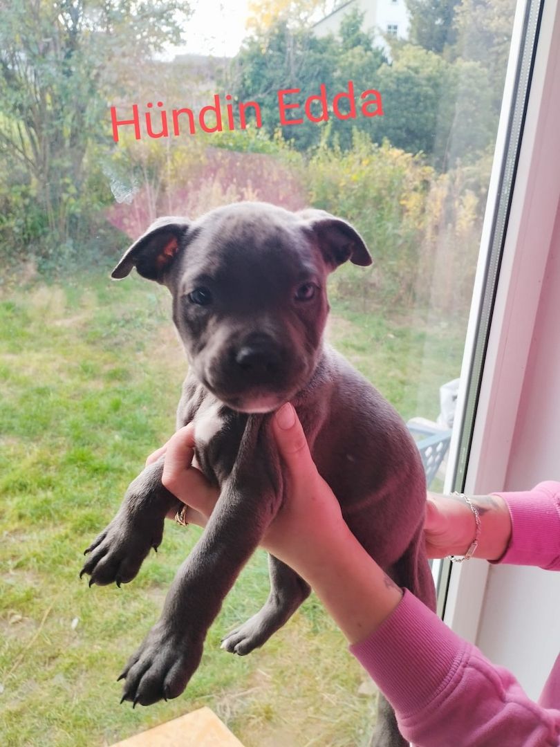 Wir suchen ein schönes Zuhause Wir suchen ein schönes Zuhause