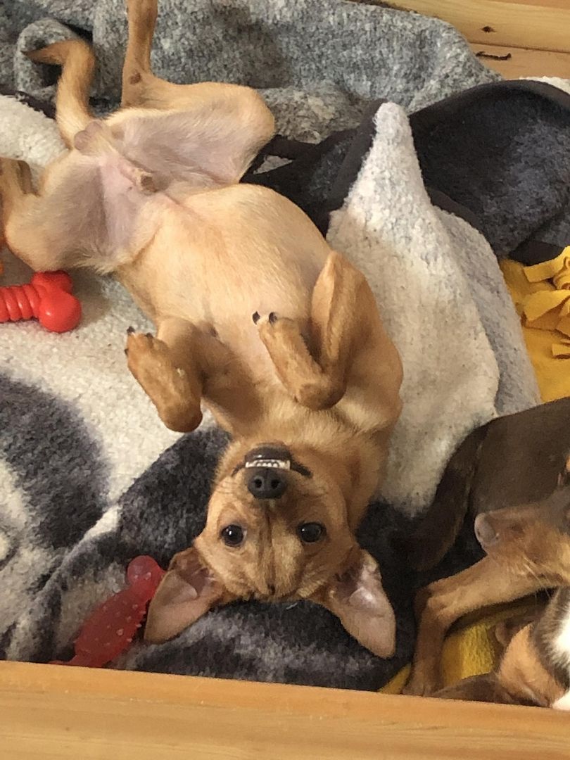 Kleiner Mann ganz Groß