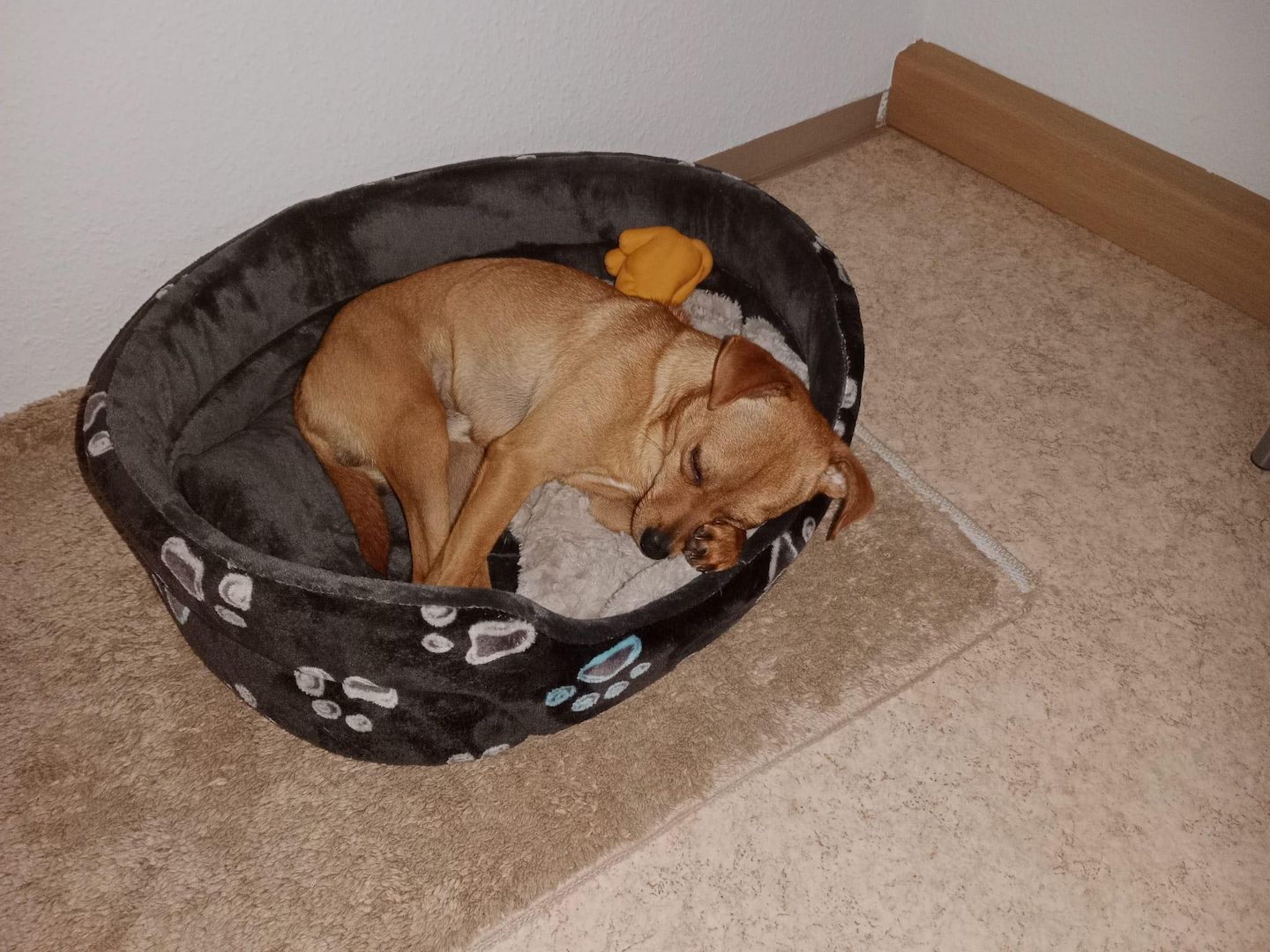 Kleiner Mann ganz Groß