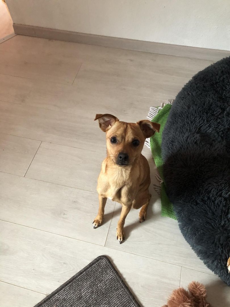 Kleiner Mann ganz Groß