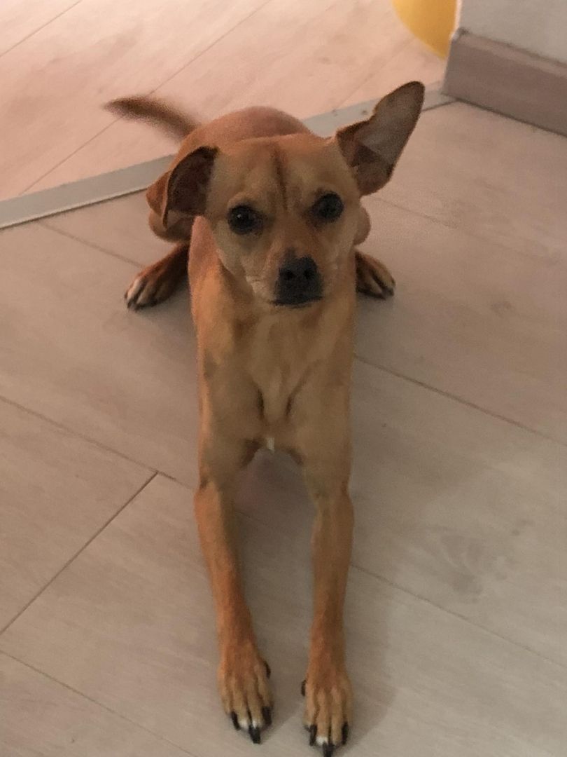 Kleiner Mann ganz Groß