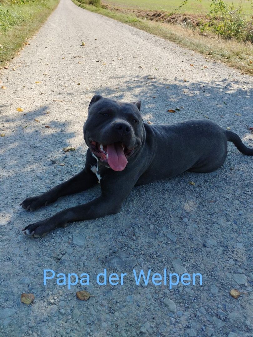 Wir suchen ein schönes Zuhause Wir suchen ein schönes Zuhause