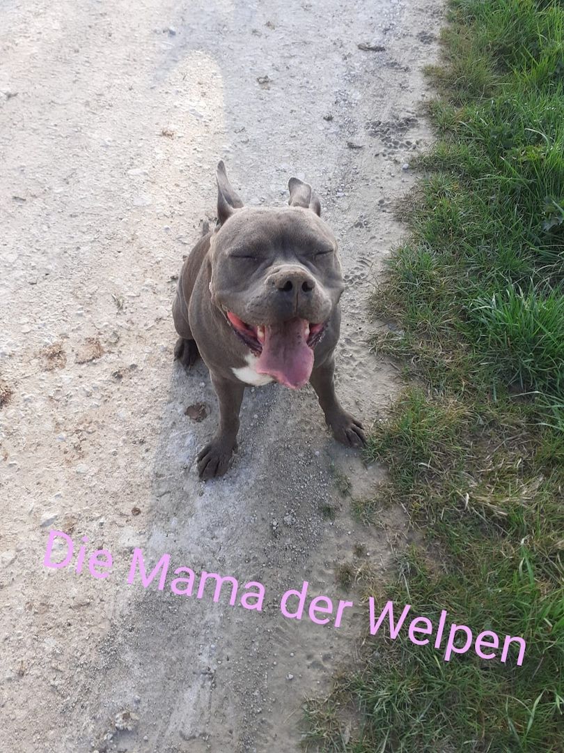 Wir suchen ein schönes Zuhause Wir suchen ein schönes Zuhause