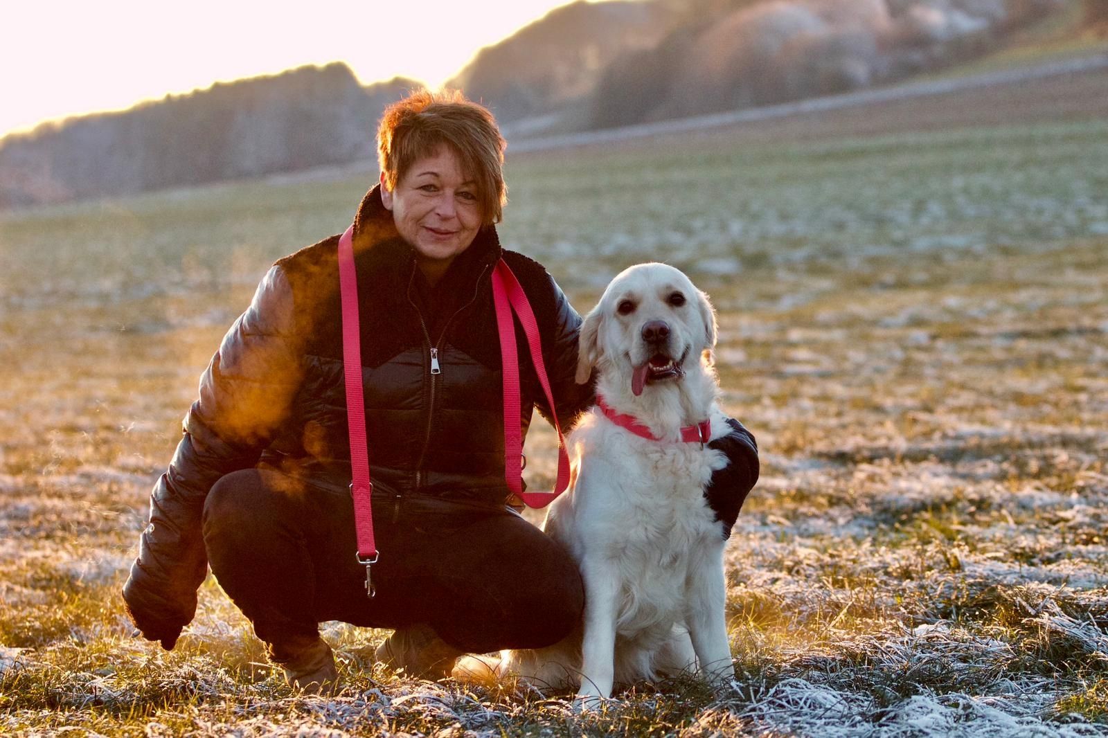 Wurfankündigung Golden Retriever Mitte Dezember 2023