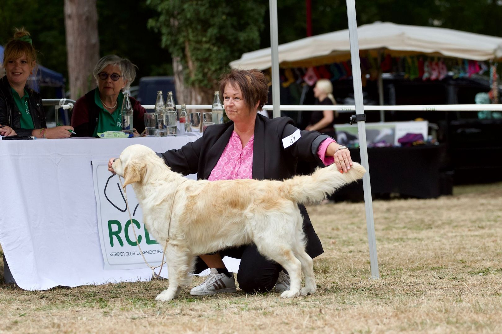 Wurfankündigung Golden Retriever Mitte Dezember 2023