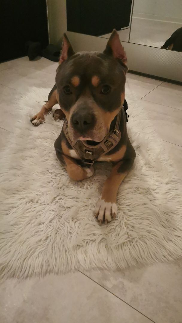 Suche ein neues zu Hause