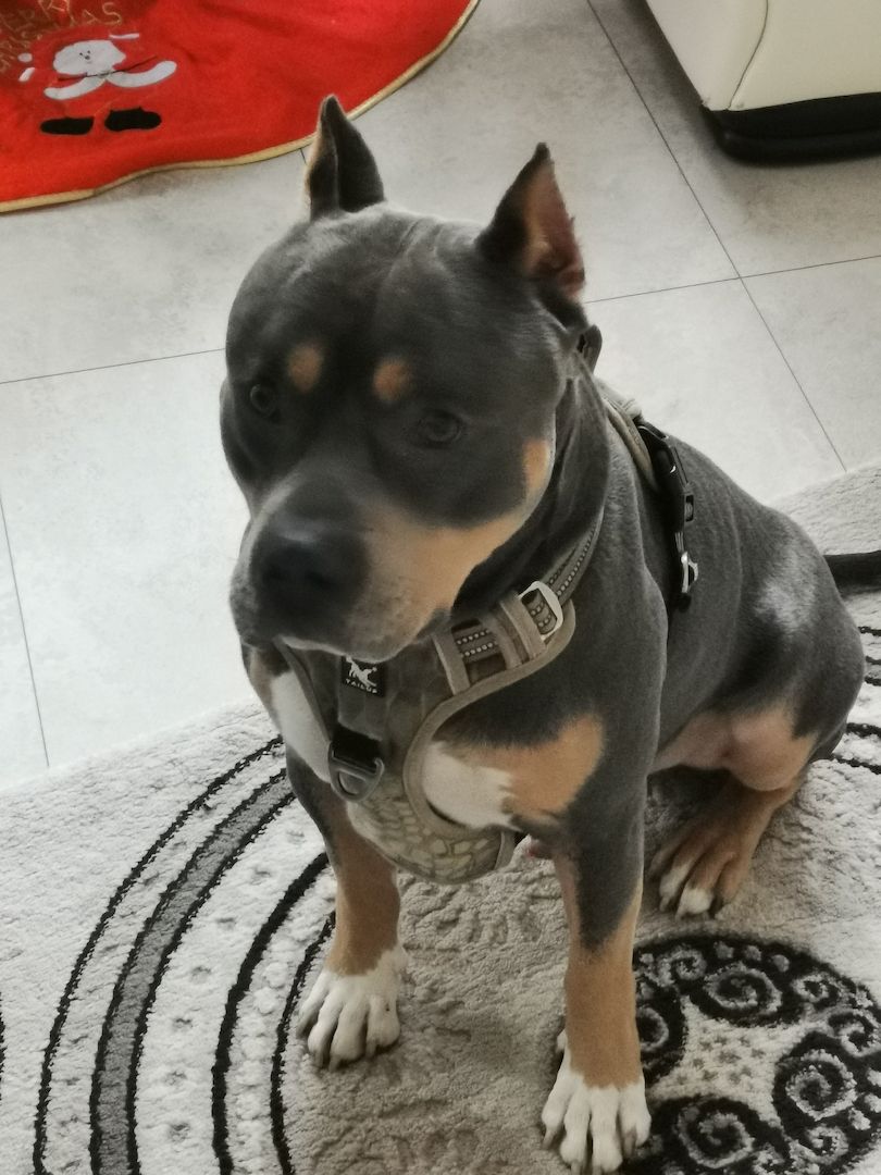 Suche ein neues zu Hause