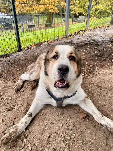 Phoebe unser Riesenbaby...