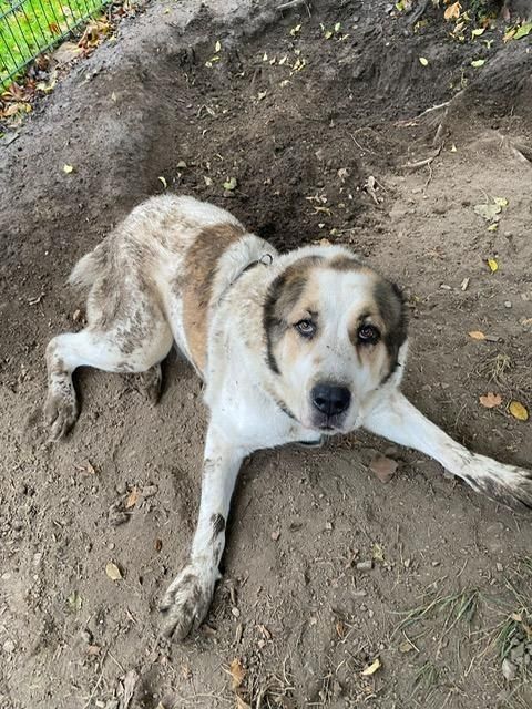 Phoebe unser Riesenbaby...