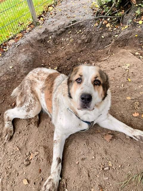 Phoebe unser Riesenbaby...