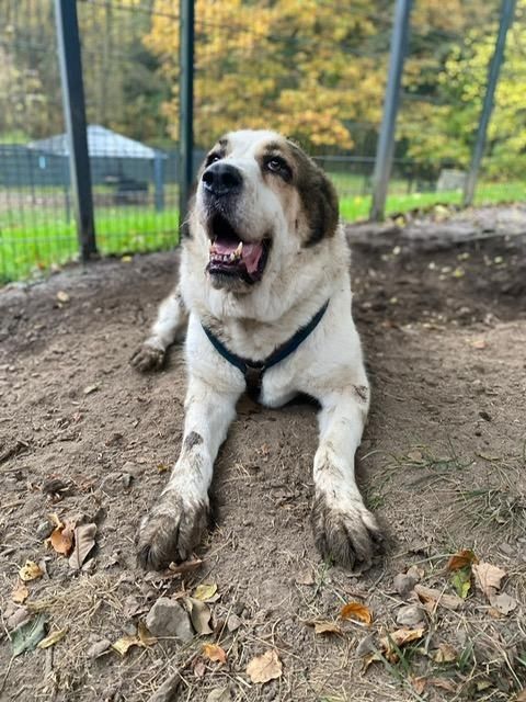 Phoebe unser Riesenbaby...