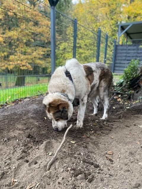 Phoebe unser Riesenbaby...