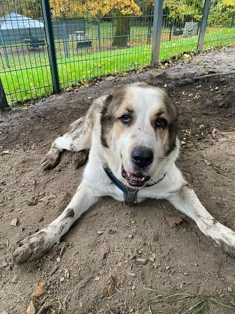 Phoebe unser Riesenbaby...