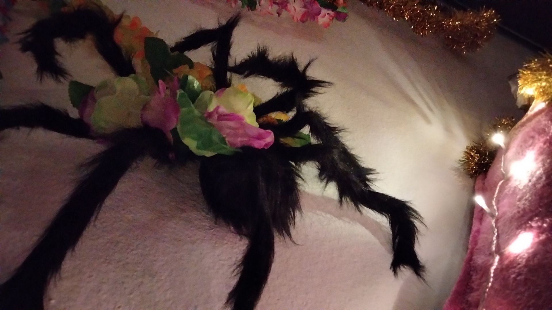 Geldsklaven Kick and cash Termin