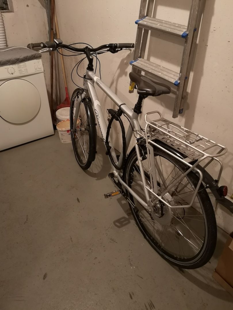 E-Bike Fahrrad Diamant Herrenrad