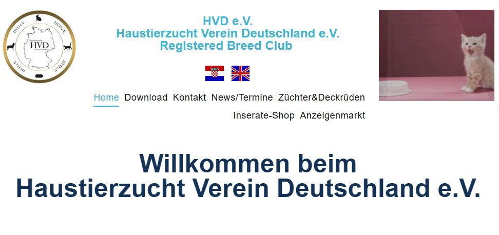 Rassekatzenverein, Katzenverein, Katzenclub,  Verein für Katzenzüchter, HVD e.V.
