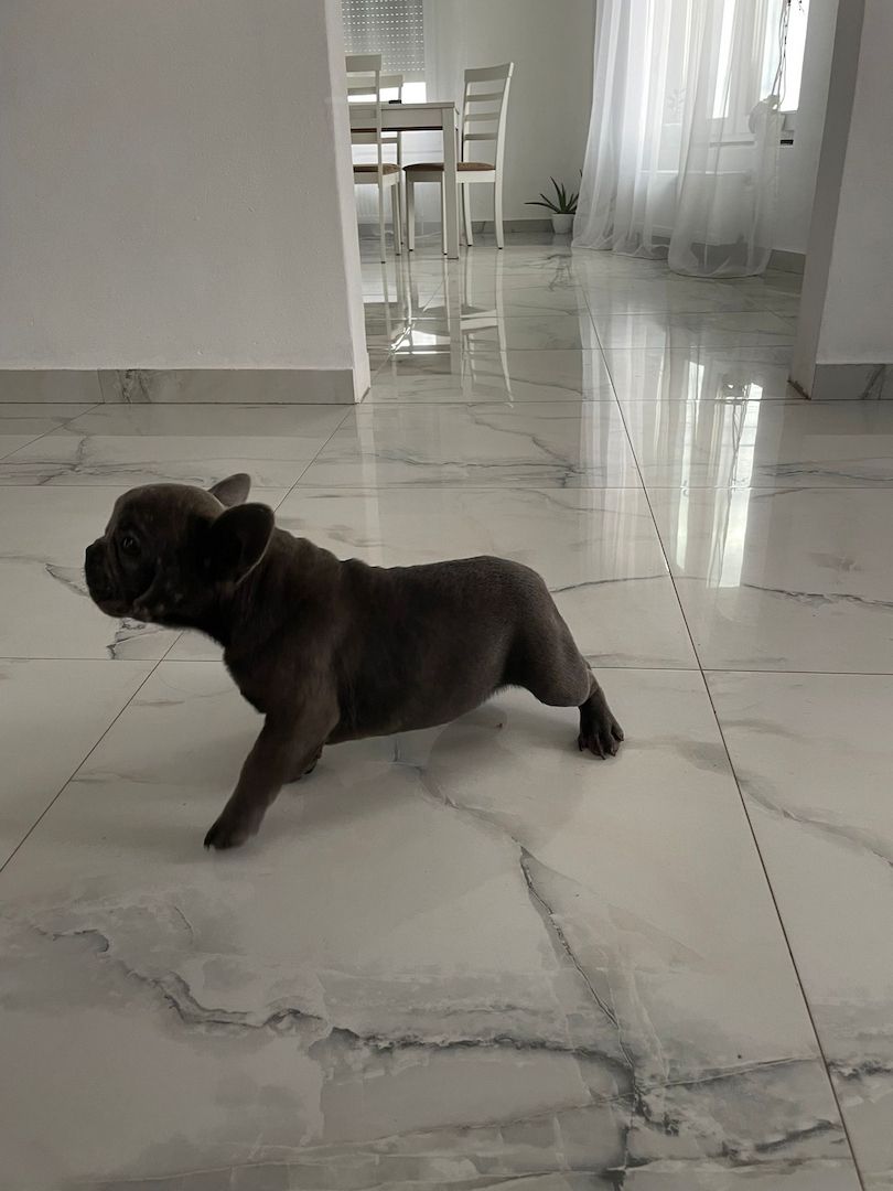 Hallo, ich suche ein neues Zuhause Hallo, ich suche ein neues Zuhause