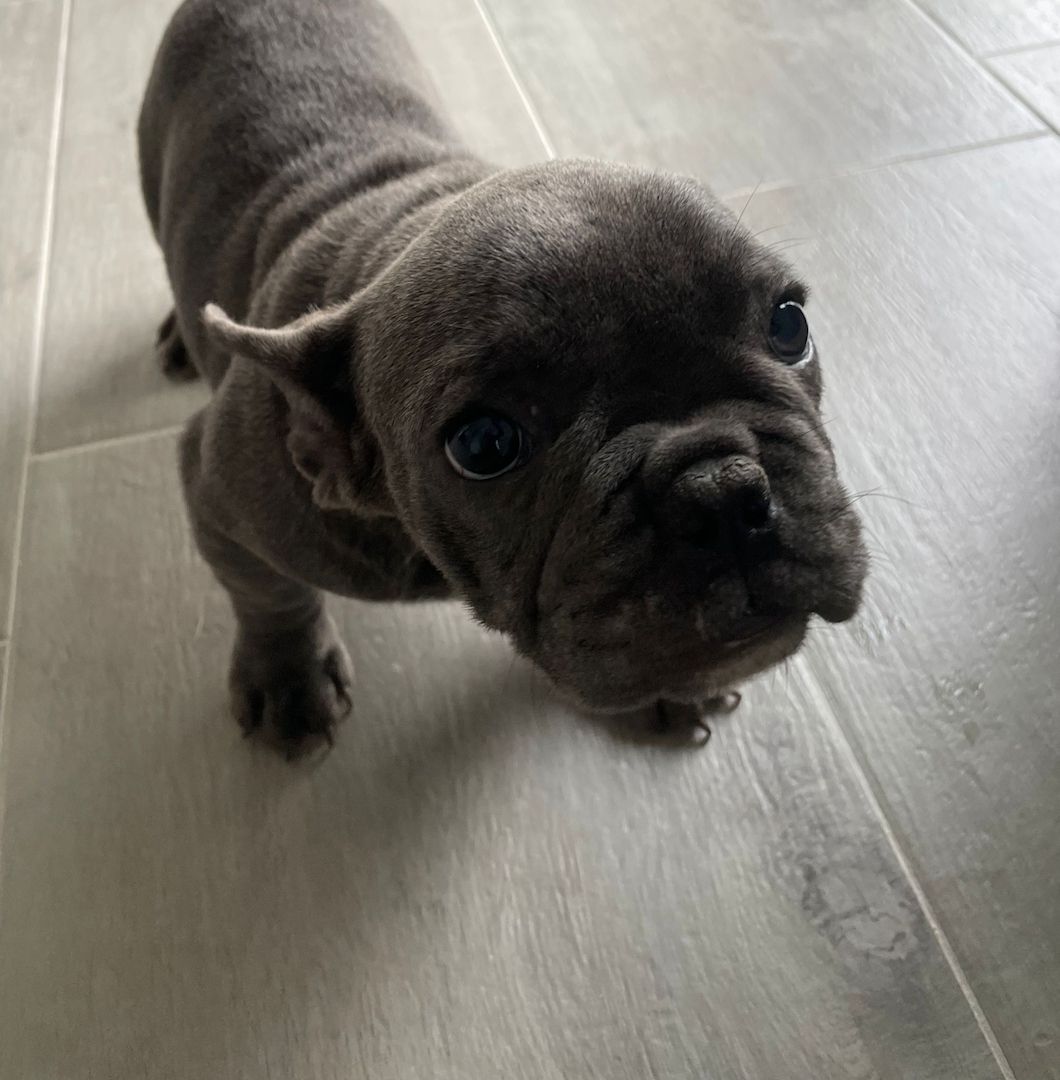 Hallo, ich suche ein neues Zuhause Hallo, ich suche ein neues Zuhause