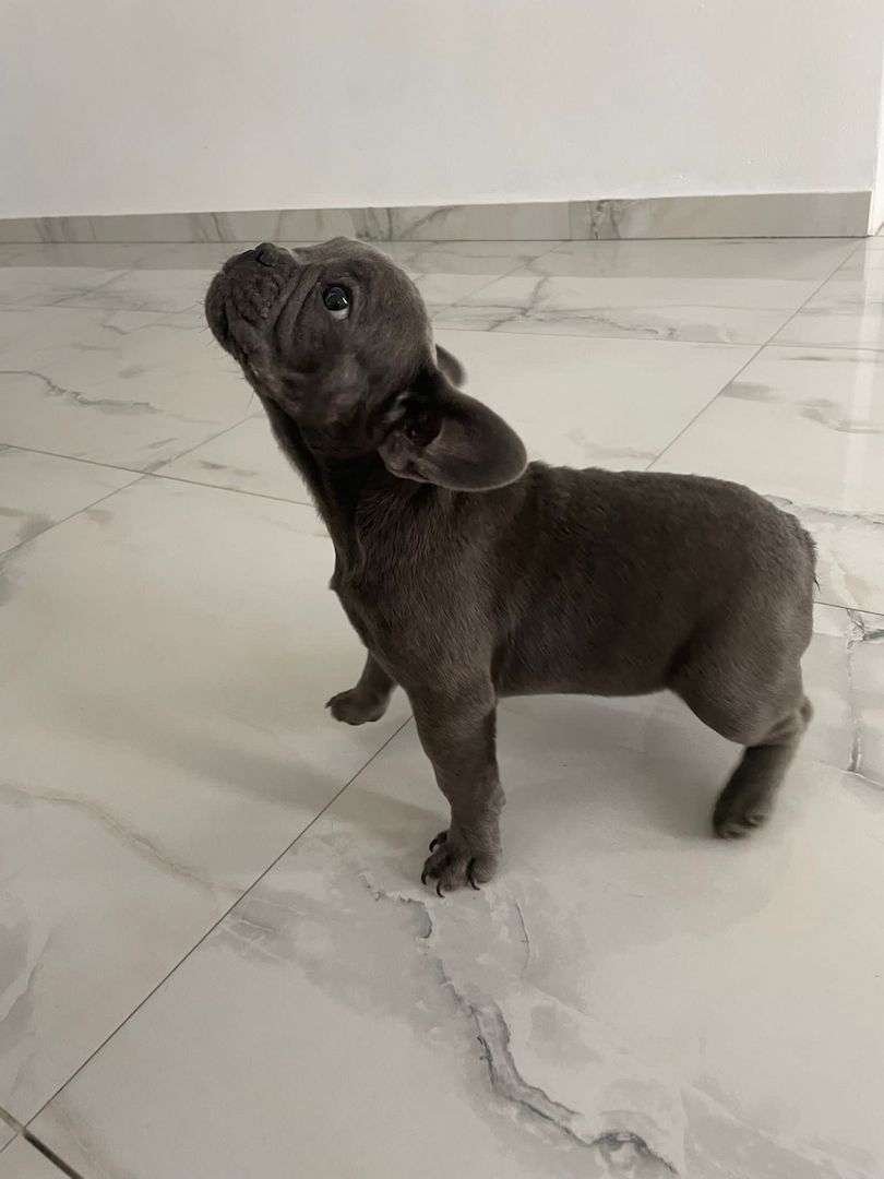 Hallo, ich suche ein neues Zuhause Hallo, ich suche ein neues Zuhause