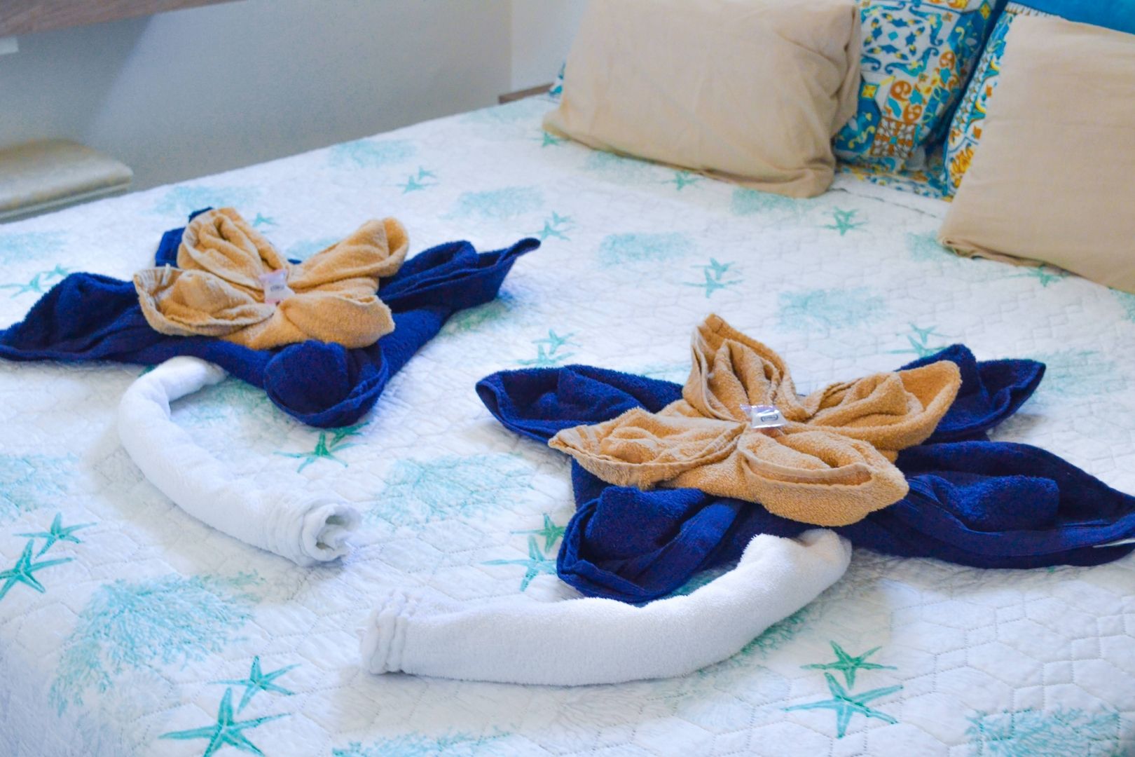 ferienwohnung mit Meerblick und Garten ferienwohnung mit Meerblick und Garten