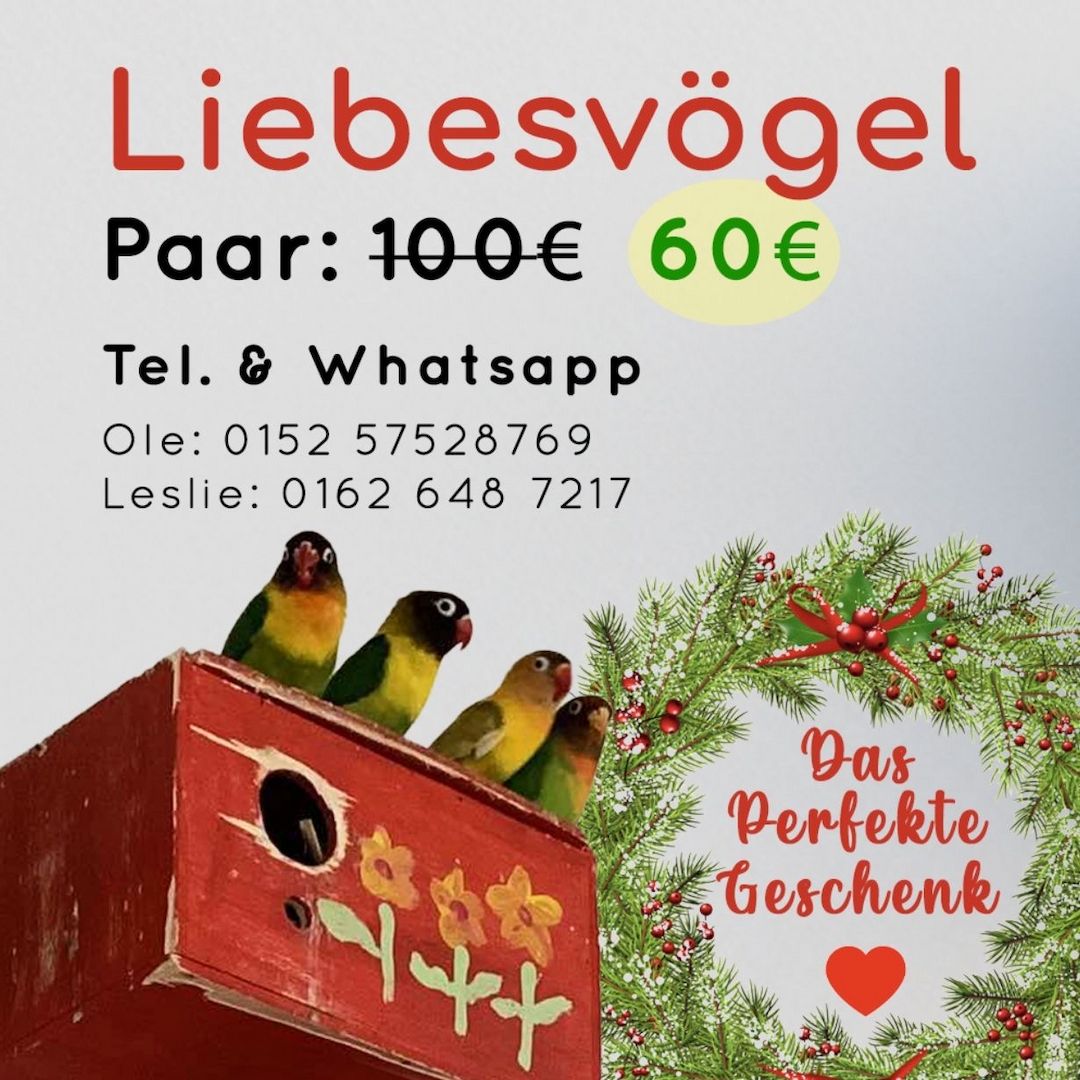 Exotische kleine Vögel