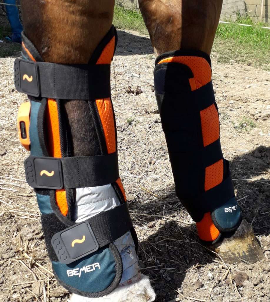 Bemer Horse Set Decke und Gamaschen Bemer Horse Set Decke und Gamaschen