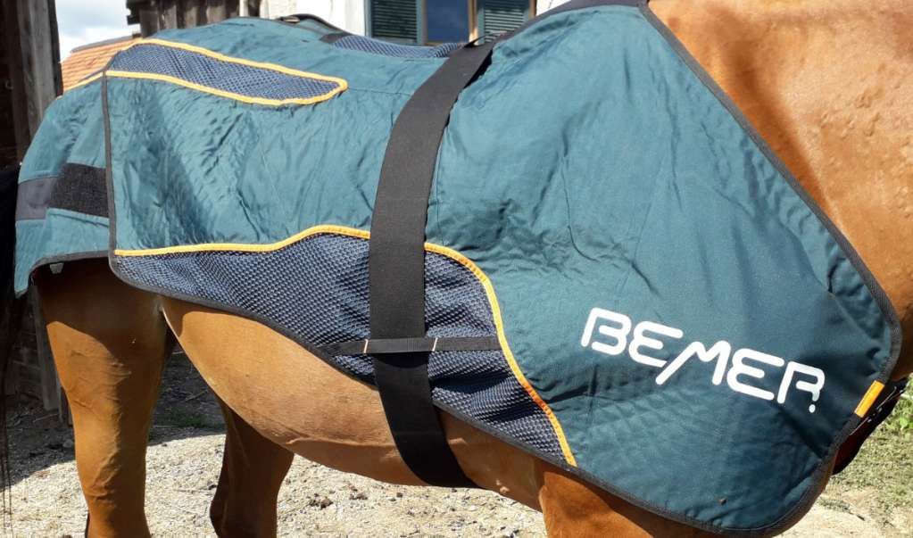 Bemer Horse Set Decke und Gamaschen Bemer Horse Set Decke und Gamaschen