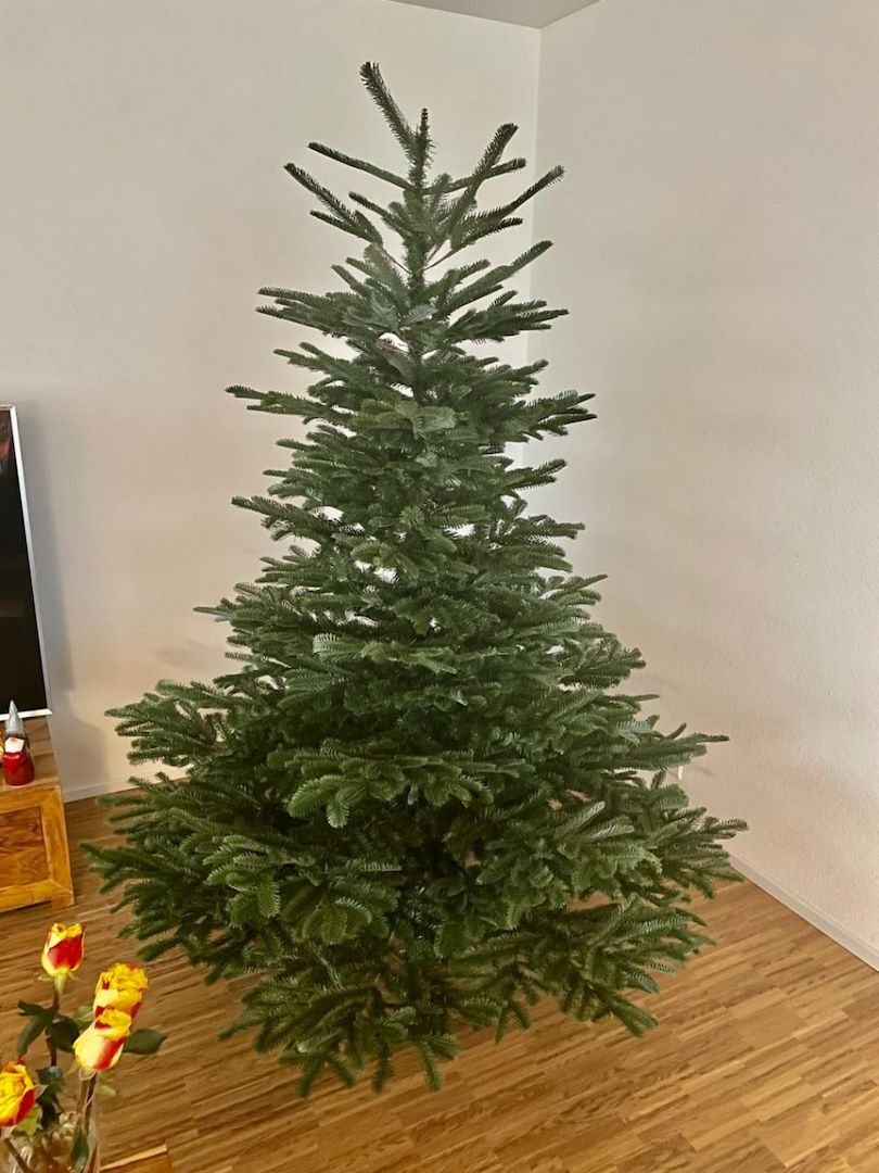Hochwertiger künstlicher Weihnachtsbaum Balsam Hill