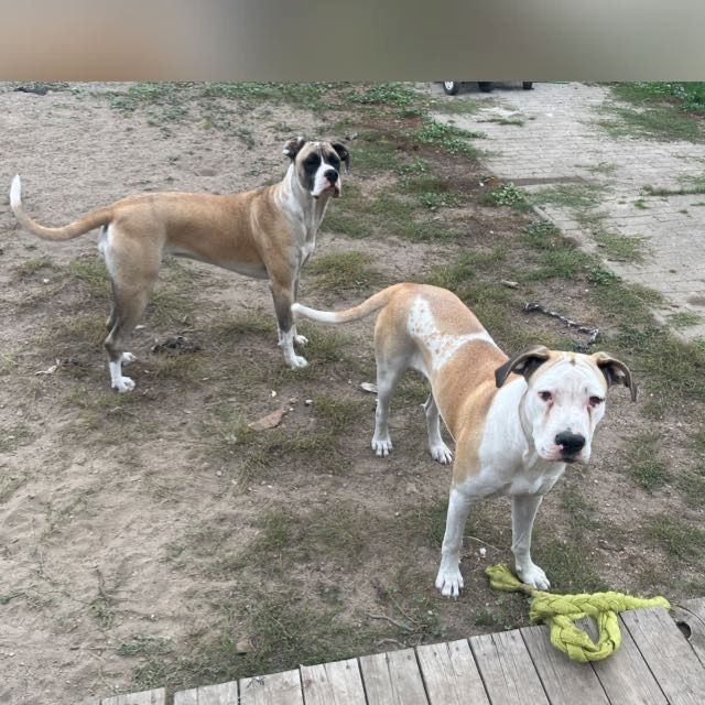 1 Mädchen 1 Mädchen