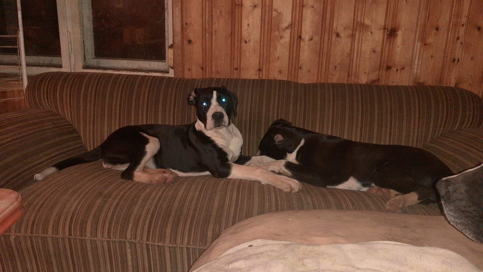 1 Mädchen 1 Mädchen