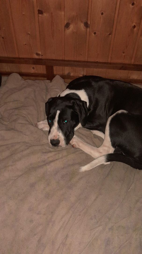 1 Mädchen 1 Mädchen