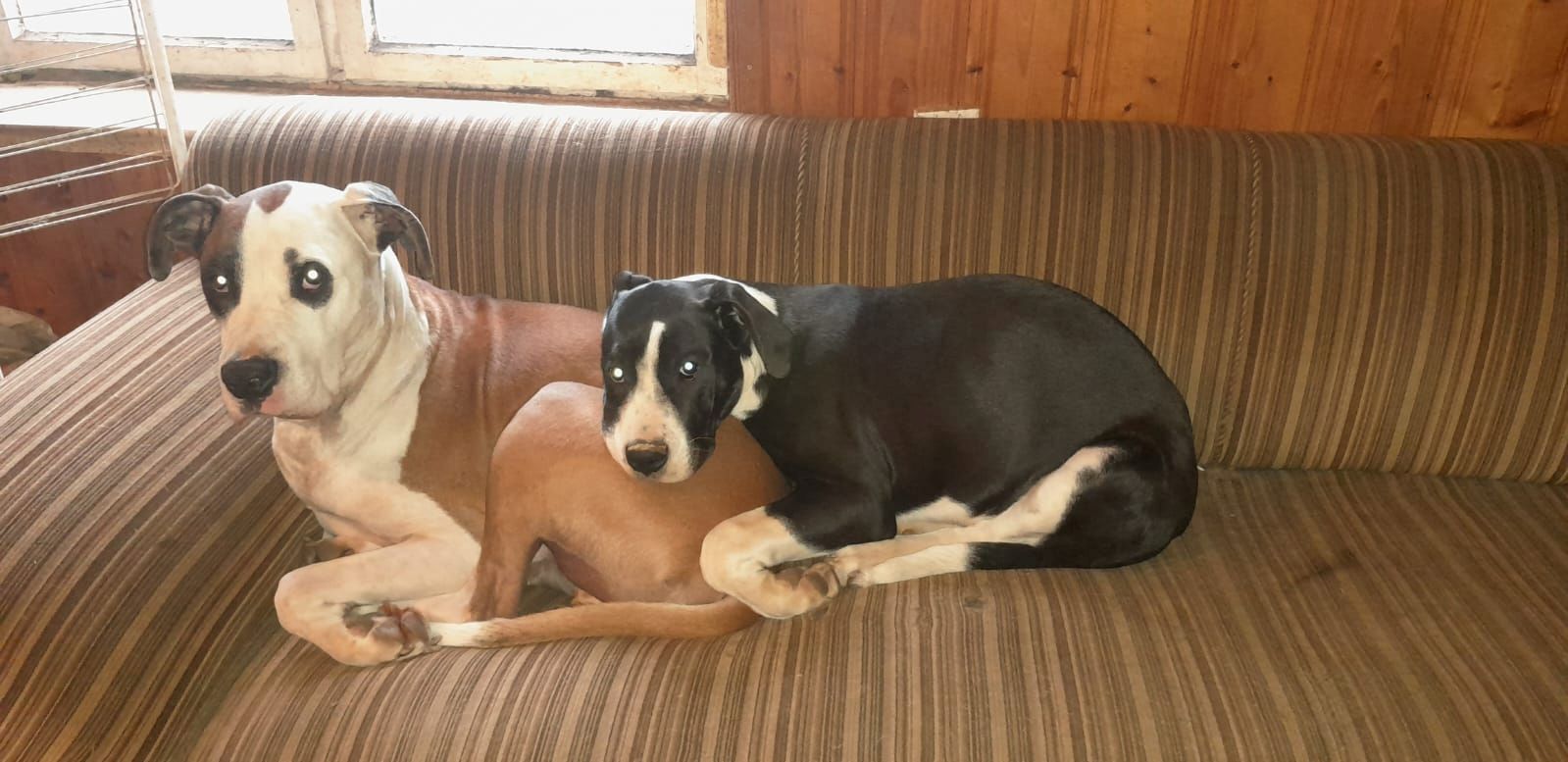 1 Mädchen 1 Mädchen