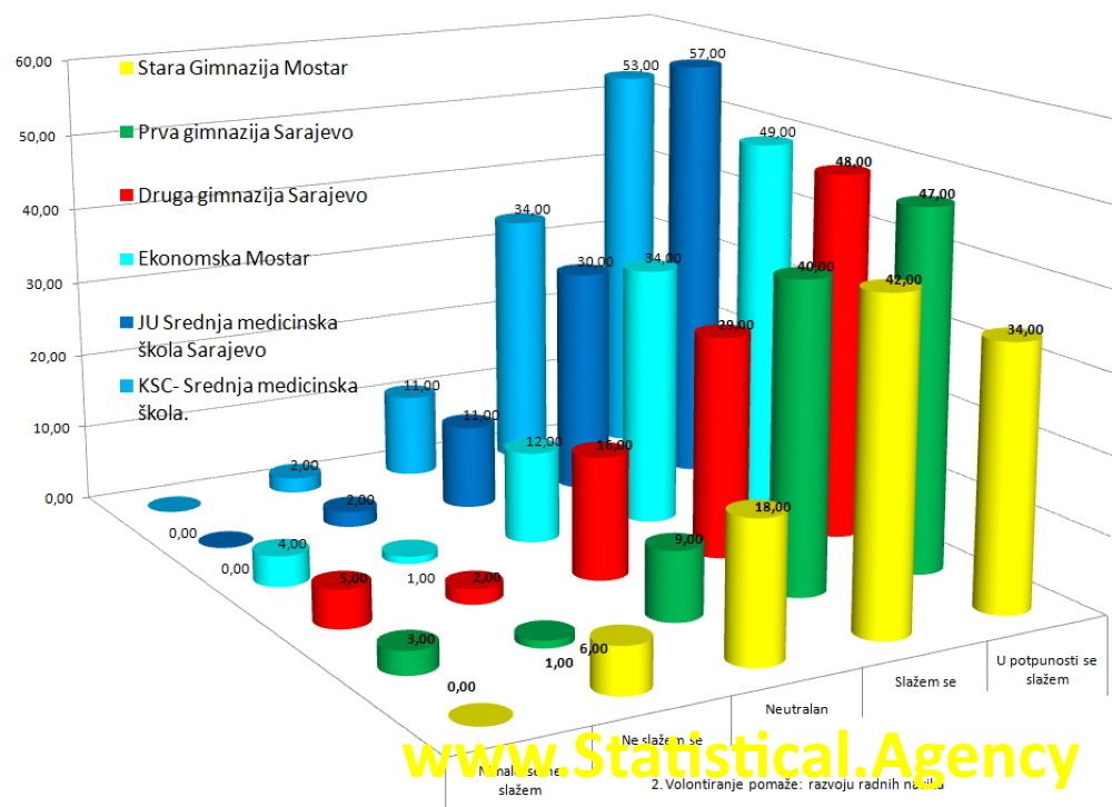 SPSS, AMOS, nVivo, Statistik Auswertung, Umfrage, Datenanalyse, Beratung, Nachhilfe, Datenauswertung