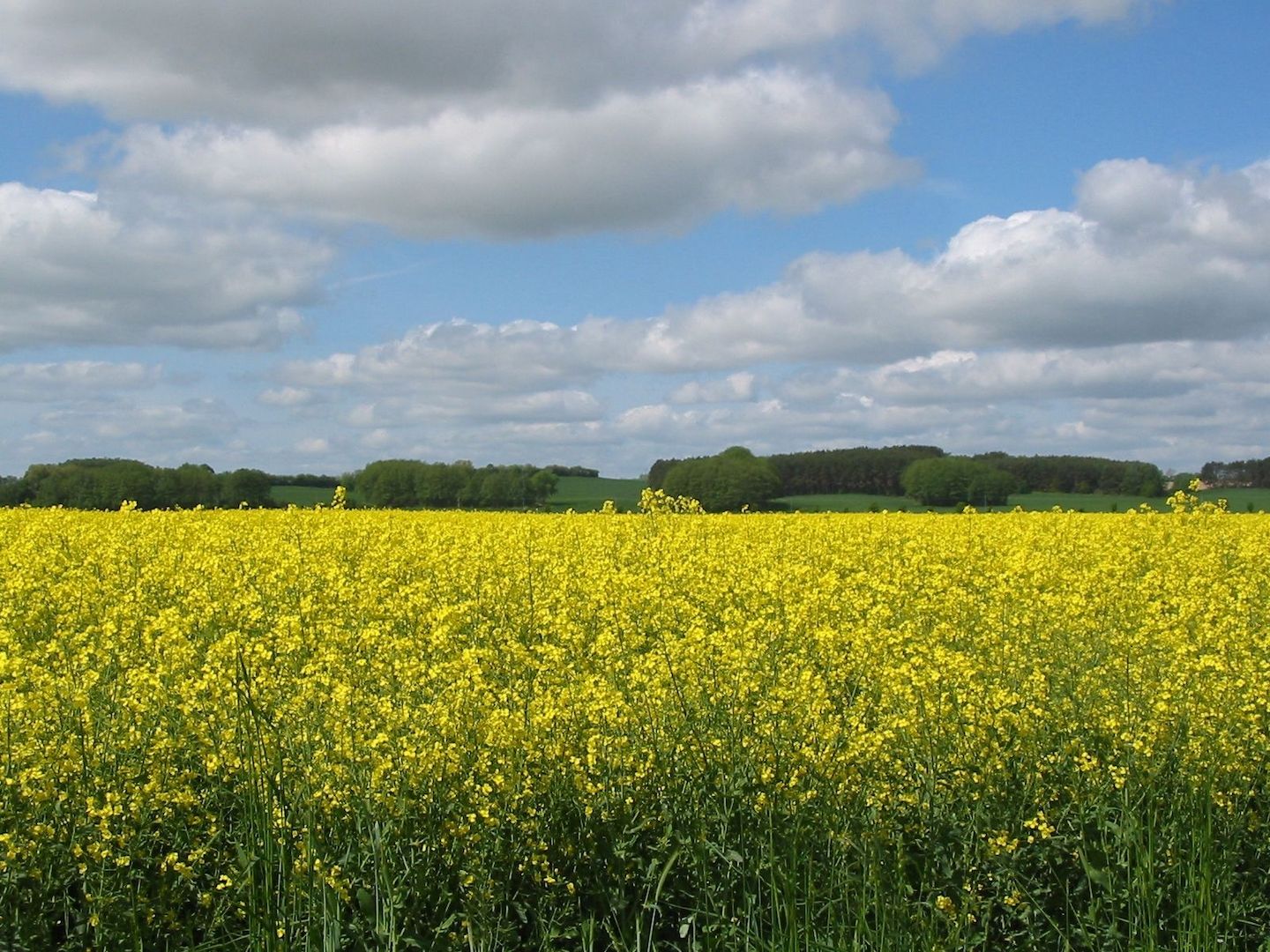 Ferienwohnung bei Plau am See Mecklenburgische Seenplatte
