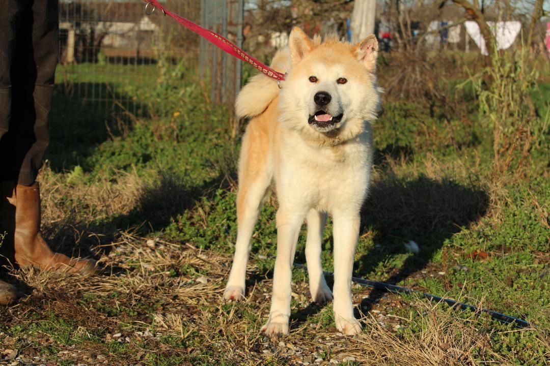 Puschel sucht sein eigenes Zuhause!