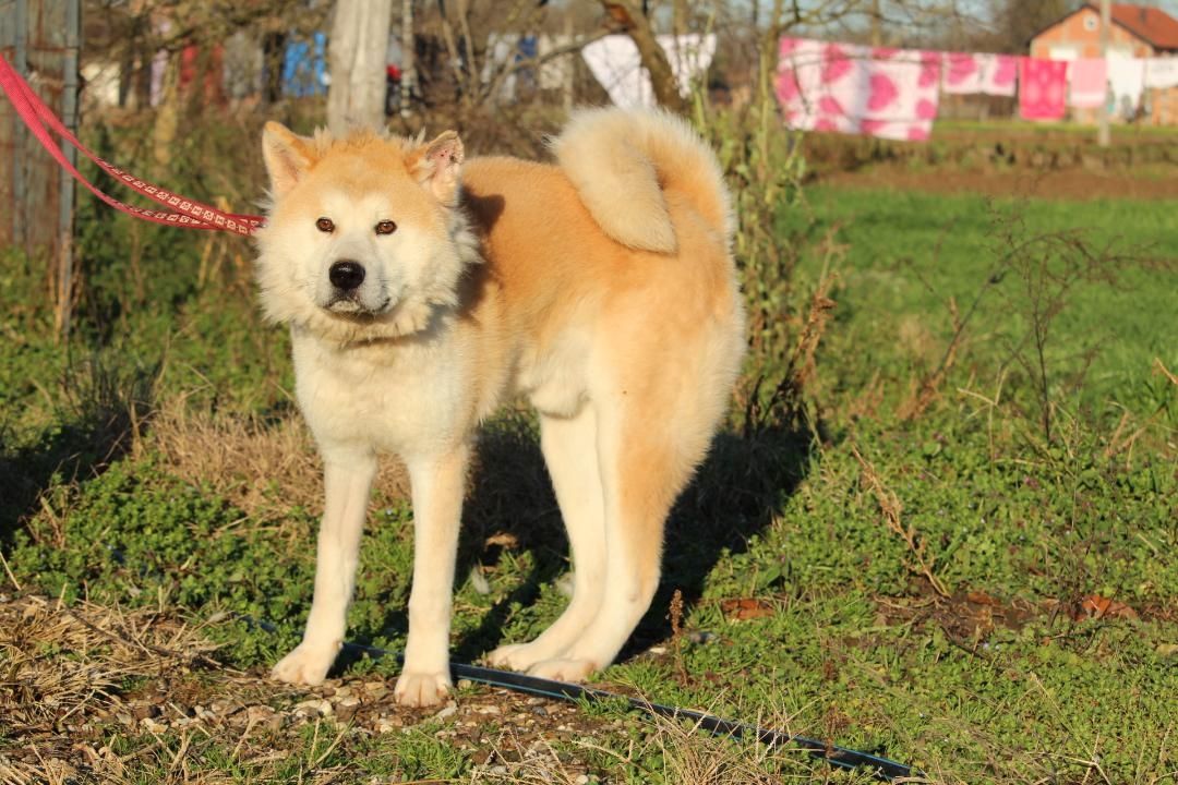 Puschel sucht sein eigenes Zuhause!