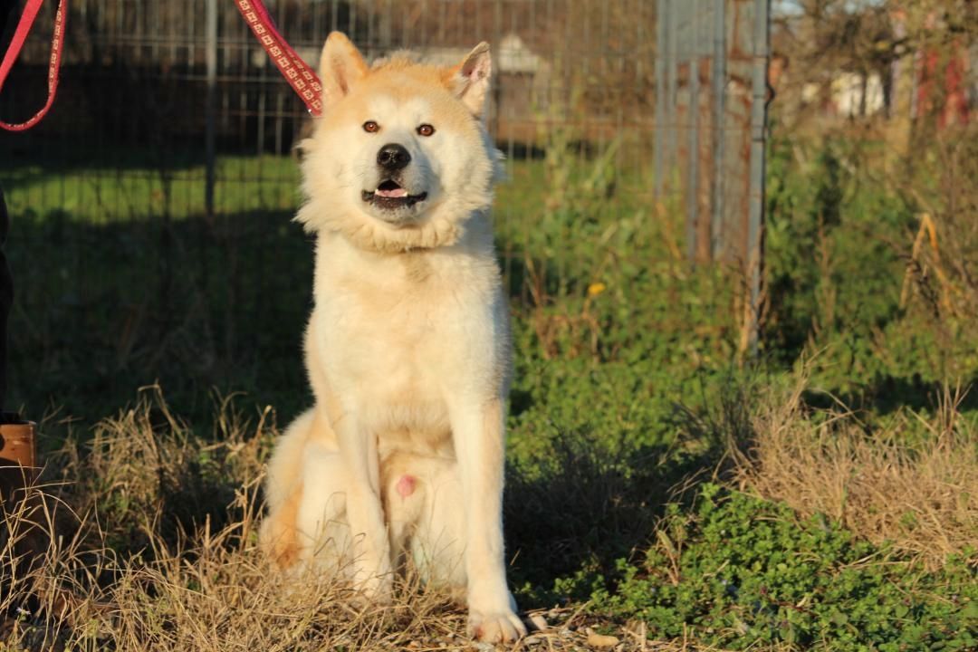 Puschel sucht sein eigenes Zuhause!