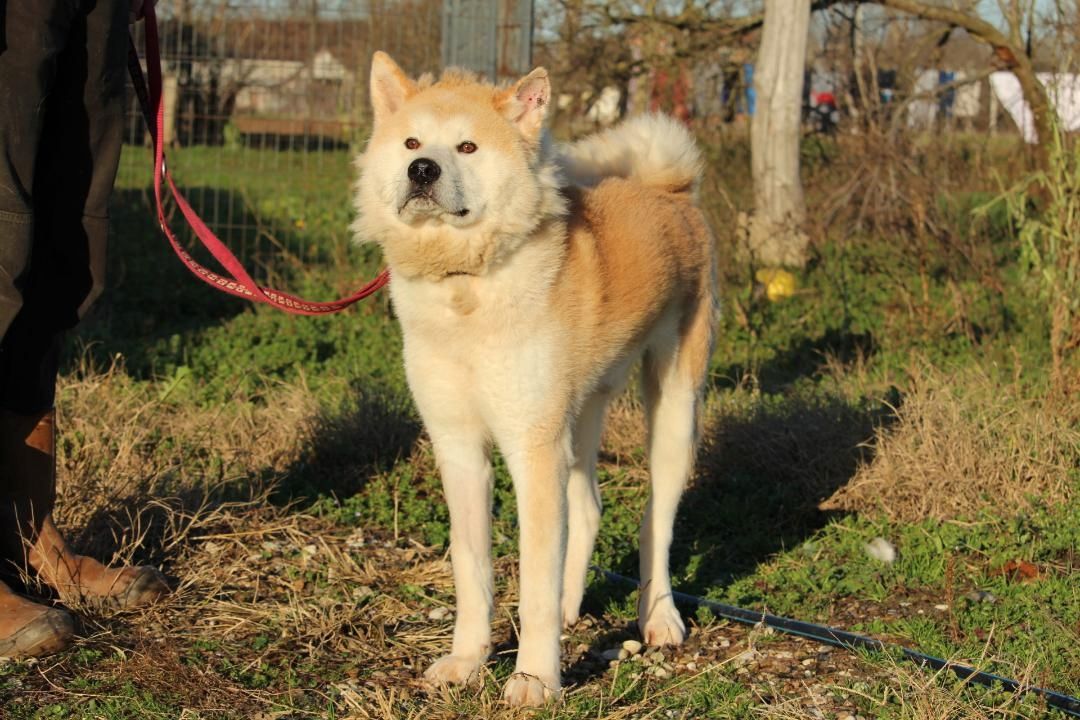 Puschel sucht sein eigenes Zuhause!
